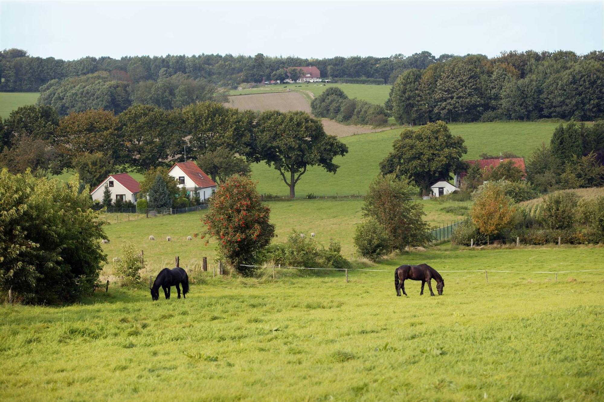Hotel & Appartementen - De Zeven Heuvelen Groesbeek Ngoại thất bức ảnh